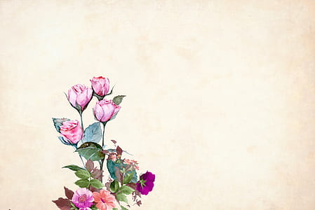 Illustrated flower background with pink blooms. thumbnail