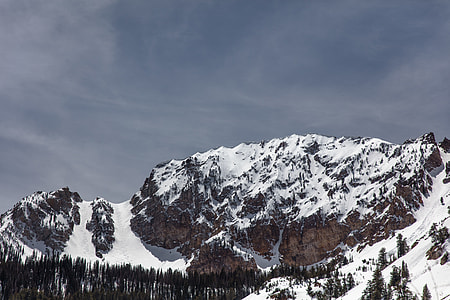 aerial photography of snow covered mountain and trees thumbnail