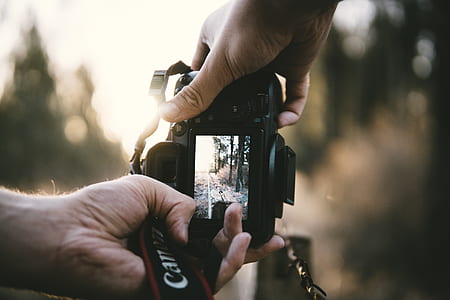 person holding black DSLR camera thumbnail