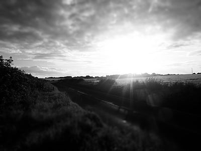 grayscale photo of grassfield thumbnail