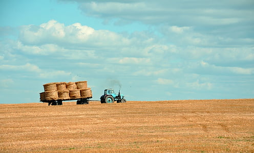 truck loaded with hay stacks thumbnail