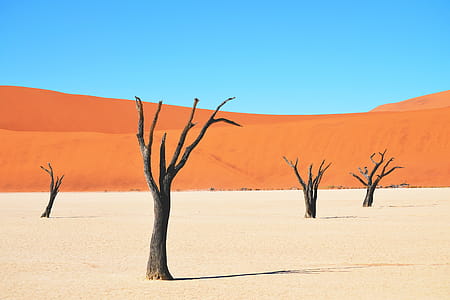 Desert Landscape thumbnail