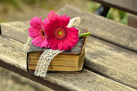 two purple and pink petaled flowers on blue book thumbnail