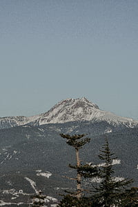 landscape photography of mountains and trees thumbnail