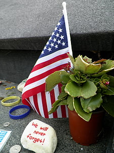 U.S.A flaglet beside green plant thumbnail
