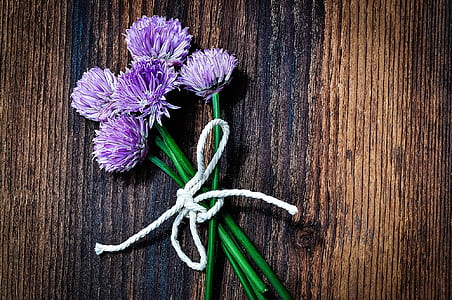 photo of purple and green flowers thumbnail