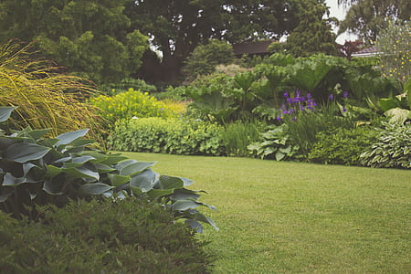 garden thumbnail