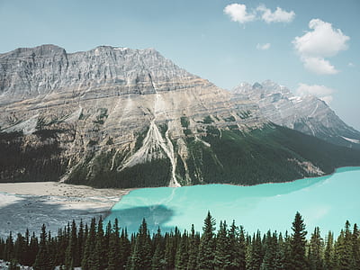 ice cupped mountain front of green trees under white clouds thumbnail