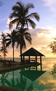 silhouette of cottage beside coconut palm trees near sea thumbnail
