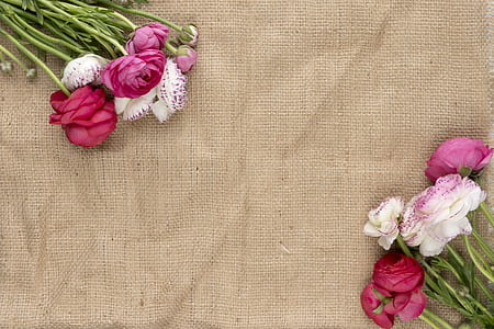 pink and white roses on brown surface thumbnail