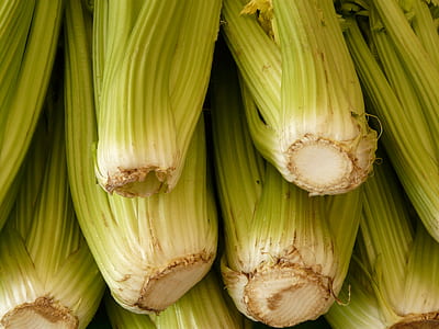 close-up of bunch of green bok choys thumbnail