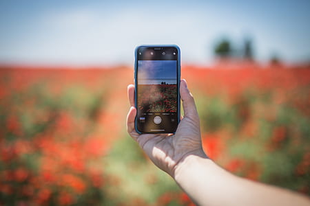person holding black smartphone thumbnail
