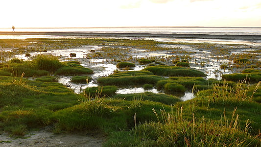 grass fields surrounded with body of water thumbnail