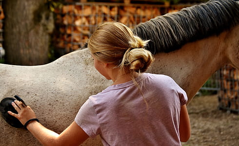 woman wearing pink shirt holding horse thumbnail