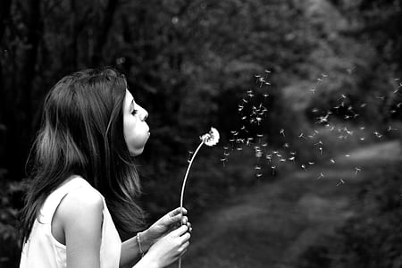 grayscale photography of woman blowing dandelion thumbnail