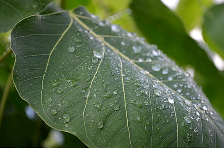 After the rain #2 thumbnail