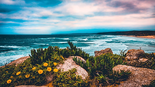 plants on rock with sea waves raging below during daytime thumbnail