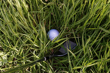 blue golf ball on grass covered ground thumbnail