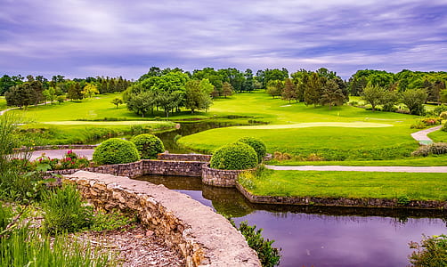 landscape photo of green grass field thumbnail