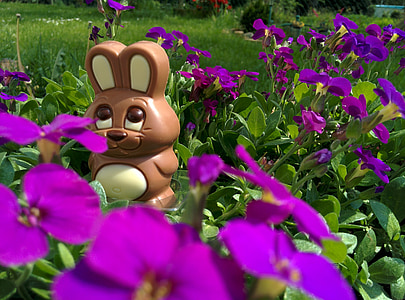 brown rabbit toy on purple petaled flowers thumbnail