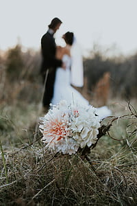 shallow photography of white and pink flowers thumbnail