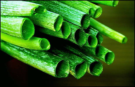 macro photography of green leafed tube thumbnail