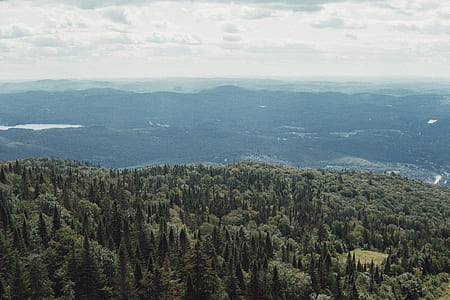 aerial photography of trees and mountains thumbnail