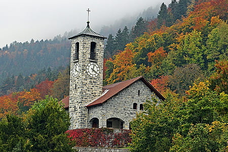 chapel surrounded by forest during daytime thumbnail