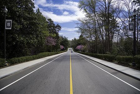 Road under the skies in the Gardens in Duke University in Durham, North Carolina thumbnail
