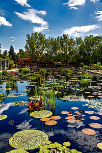 Botanic Gardens in Denver, Colorado thumbnail