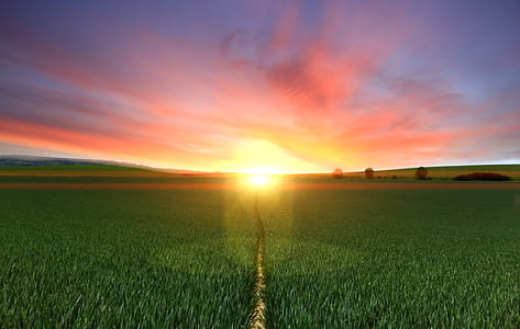 Photography of Footpath Between Green Grass Field during Golden Hour thumbnail