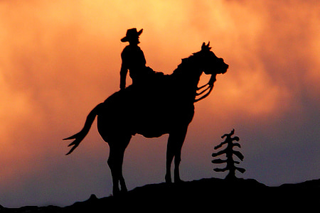 silhouette photo of person riding horse thumbnail