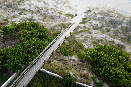 asphalt bridge with no vehicles near green trees thumbnail