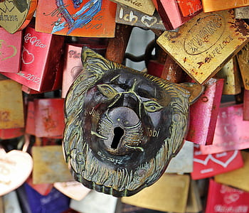 brown lion key hole thumbnail