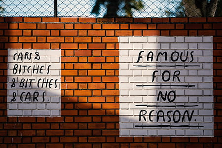 famous for no reason paint thumbnail