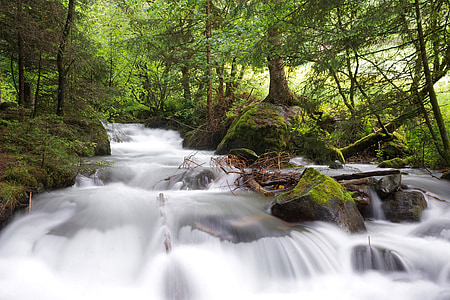 waterfalls surrounded by trees on forest thumbnail
