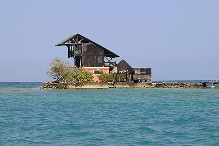 gray and brown house at daytime thumbnail