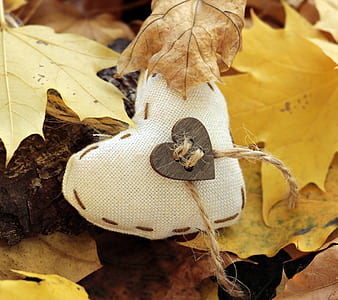 dried leaves thumbnail
