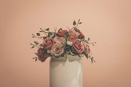 pink roses in white ceramic vase thumbnail