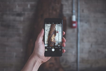 person holding space gray iPhone thumbnail