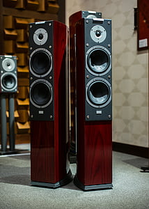 two black-and-brown bookshelf speakers thumbnail