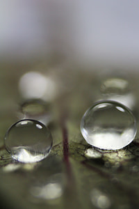 Macro photography water dew thumbnail