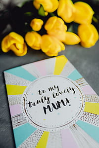 Mother`s Day card with colorful tulip flowers thumbnail
