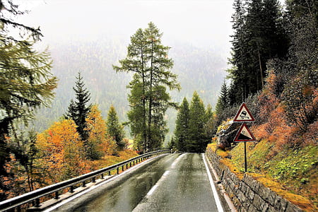 gray asphalt roadway near green leafed trees under cloudy sky thumbnail