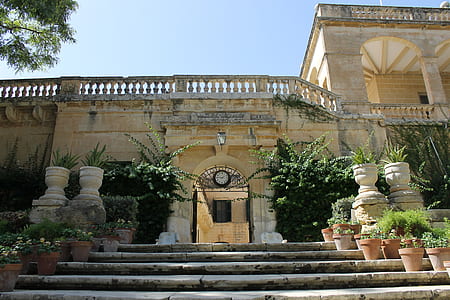 plants beside entrance to structure thumbnail