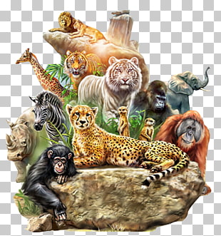 Dog Tiger Lion Animal Forest, Animals meeting, animals illustration PNG clipart