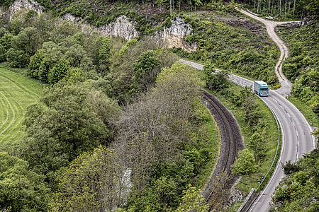 aerial view of trees thumbnail