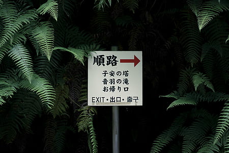square white signage next to green trees thumbnail