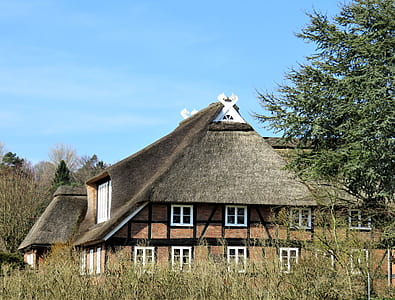 green tree besidebrown paited house thumbnail