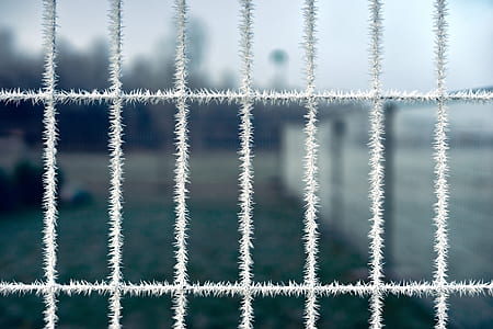 ice-covered wire mesh frame thumbnail